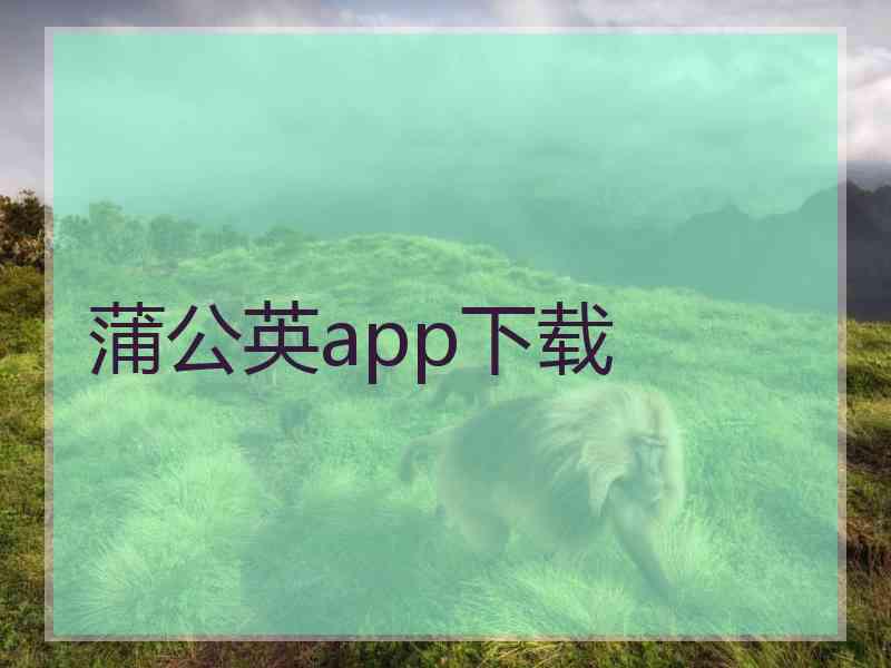 蒲公英app下载
