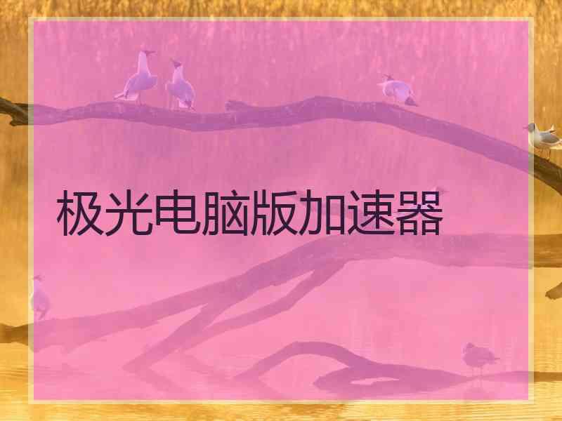 极光电脑版加速器