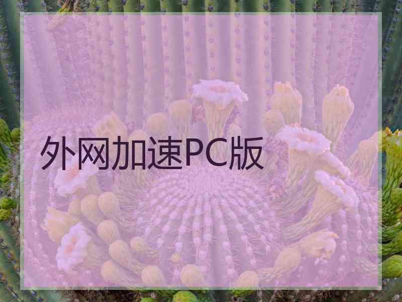 外网加速PC版