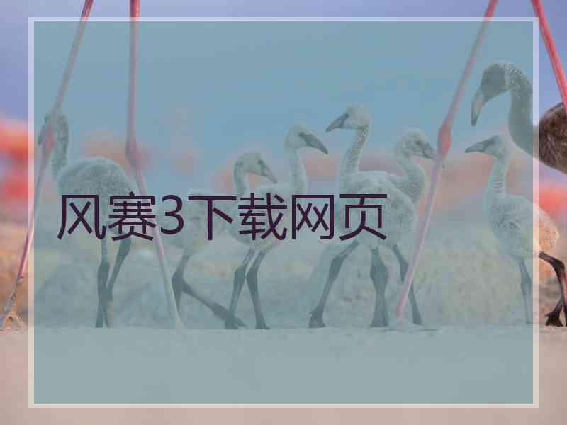 风赛3下载网页