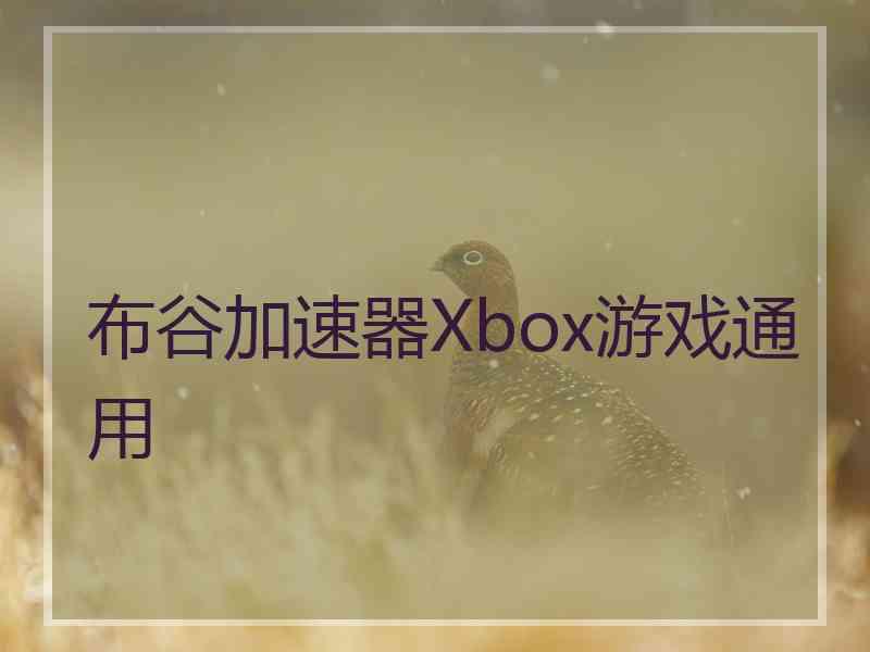 布谷加速器Xbox游戏通用