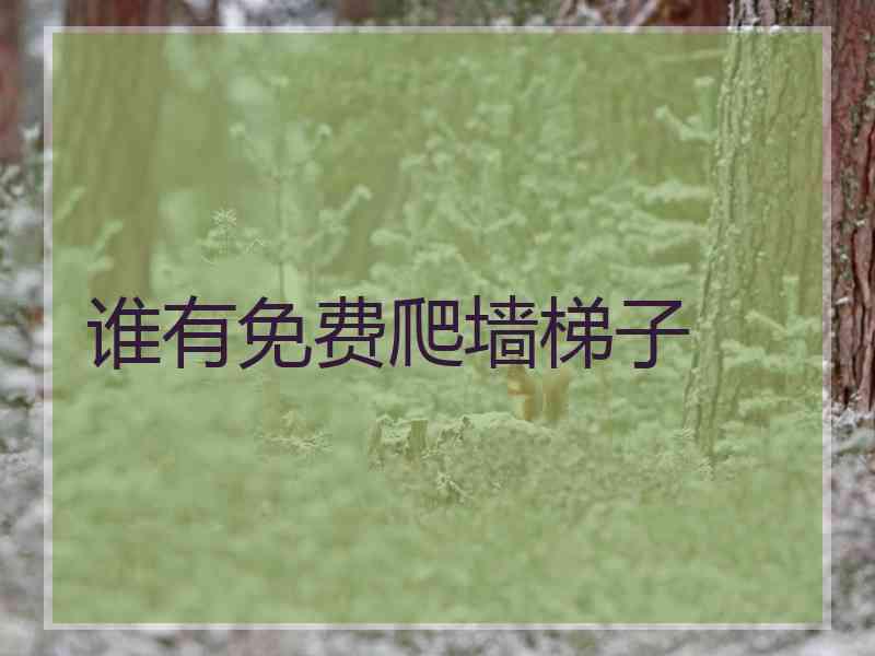 谁有免费爬墙梯子
