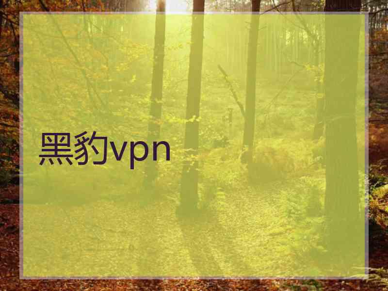 黑豹vpn