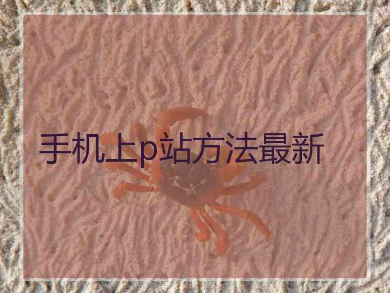 手机上p站方法最新