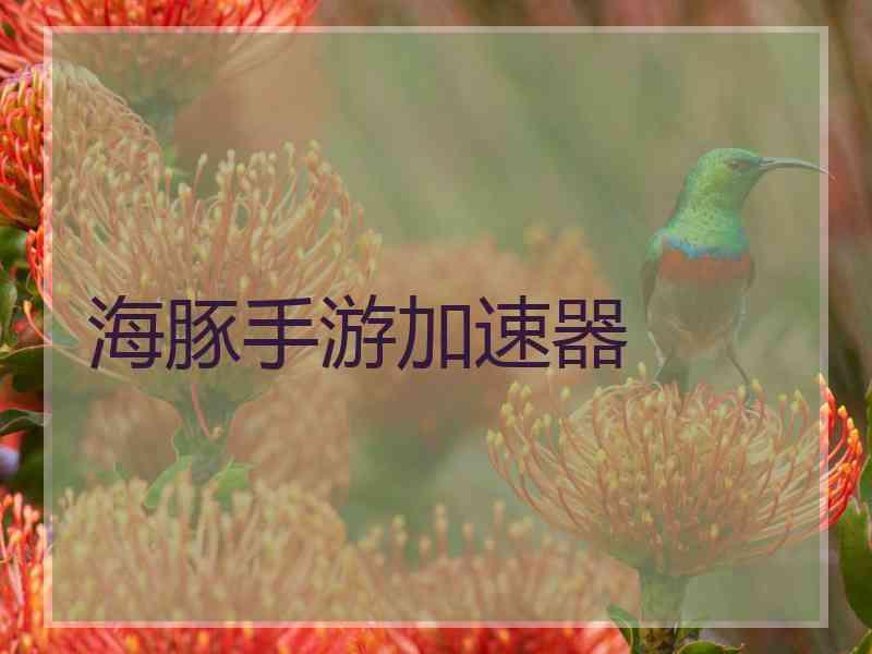 海豚手游加速器