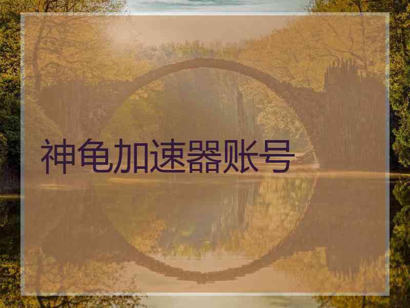神龟加速器账号