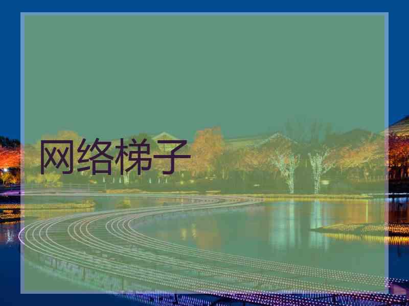 网络梯子
