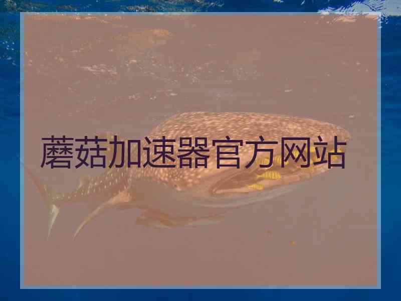蘑菇加速器官方网站