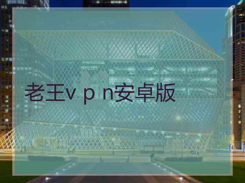 老王v p n安卓版