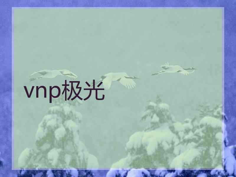 vnp极光
