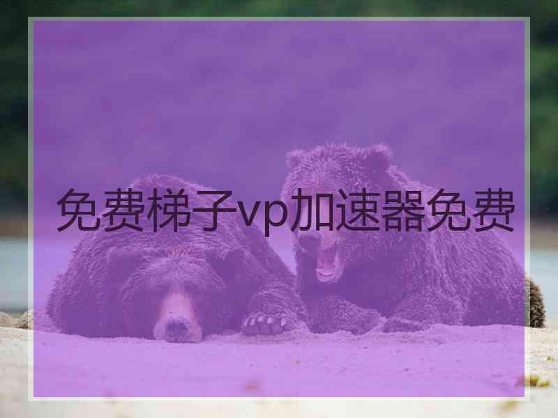 免费梯子vp加速器免费