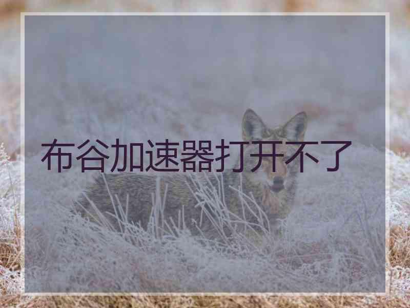 布谷加速器打开不了