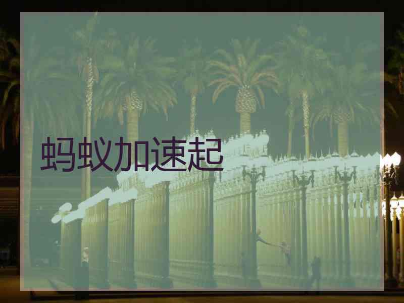 蚂蚁加速起