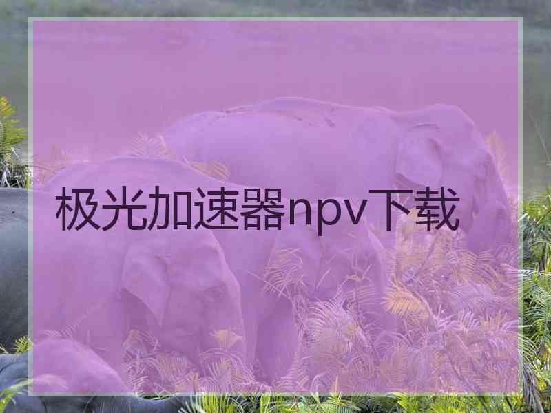 极光加速器npv下载