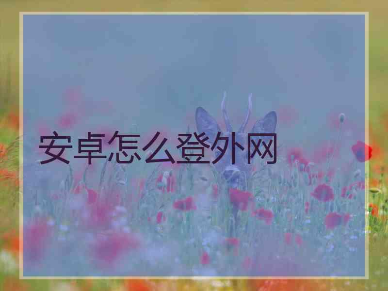 安卓怎么登外网