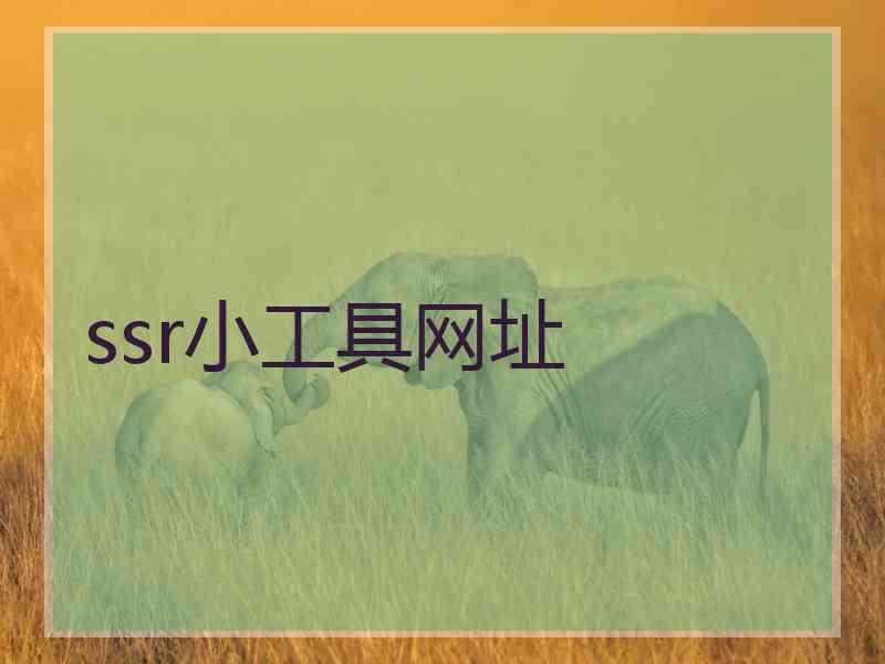 ssr小工具网址