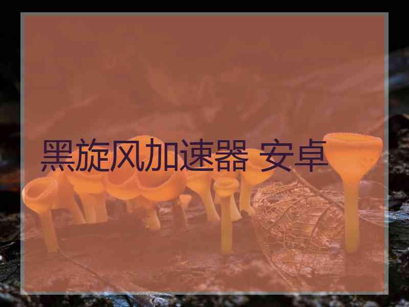 黑旋风加速器 安卓