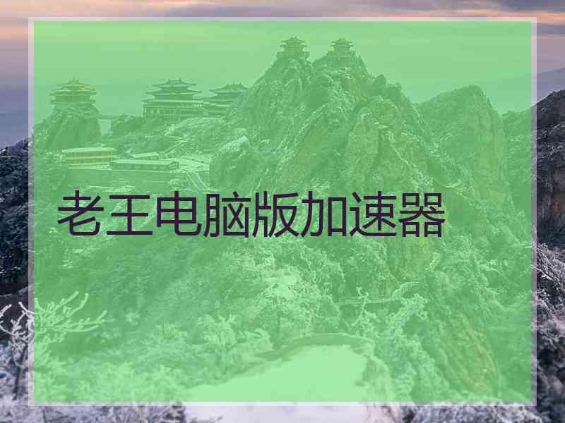 老王电脑版加速器