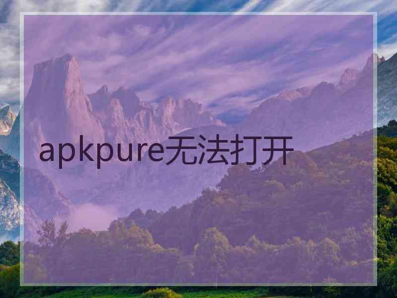 apkpure无法打开