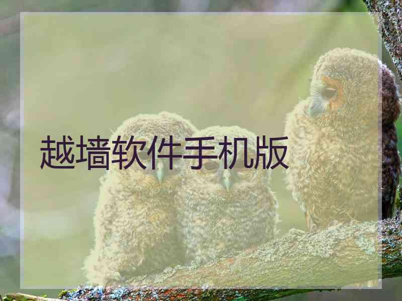 越墙软件手机版