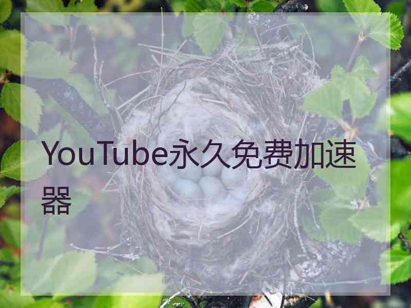 YouTube永久免费加速器