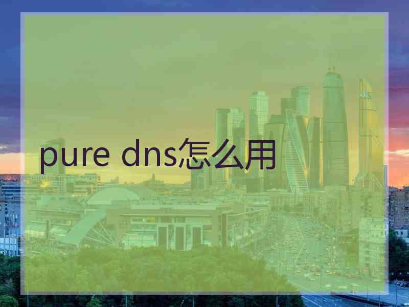 pure dns怎么用