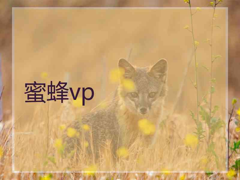 蜜蜂vp