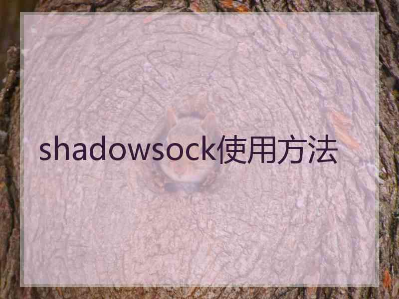 shadowsock使用方法