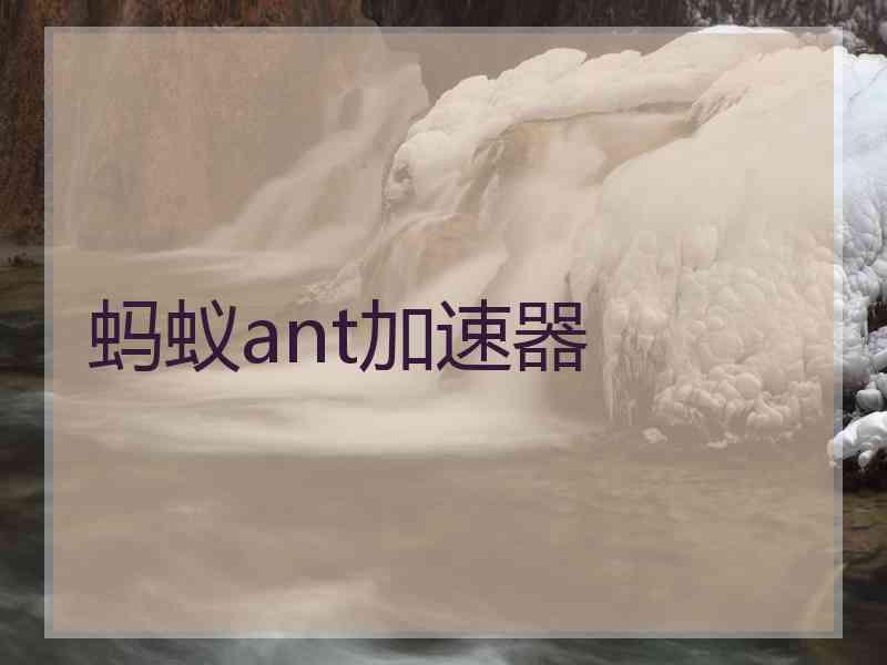 蚂蚁ant加速器