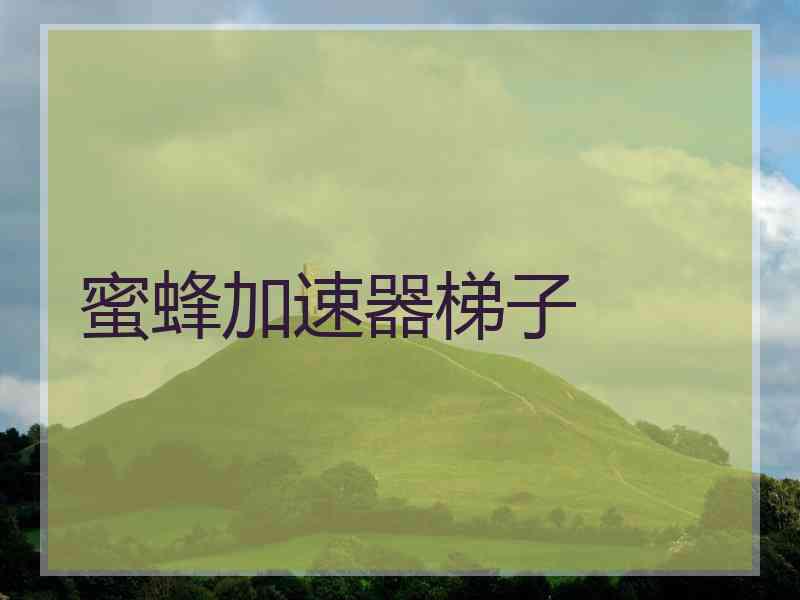 蜜蜂加速器梯子