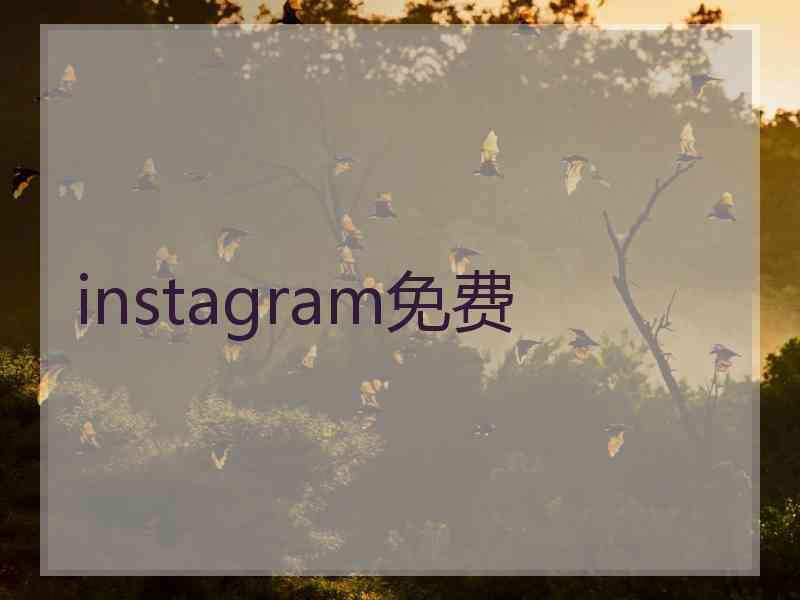 instagram免费