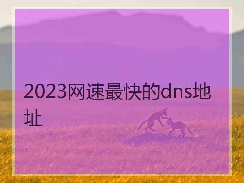 2023网速最快的dns地址