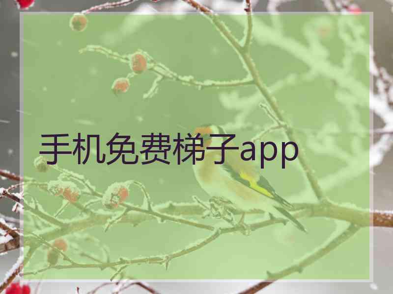 手机免费梯子app