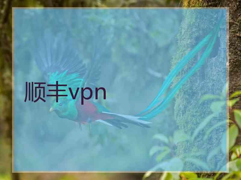 顺丰vpn