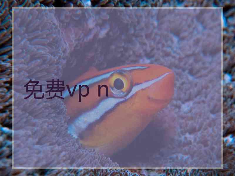 免费vp n