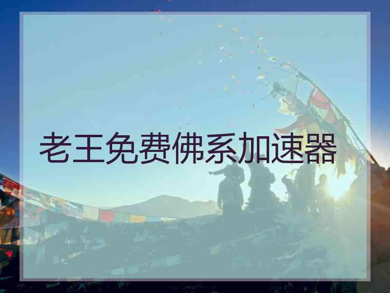 老王免费佛系加速器