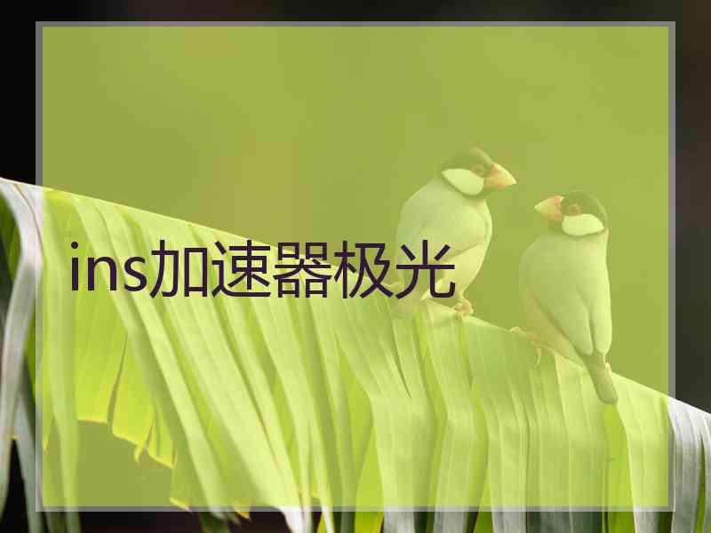 ins加速器极光
