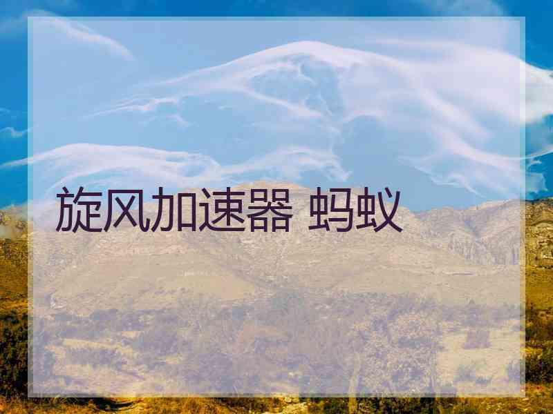 旋风加速器 蚂蚁