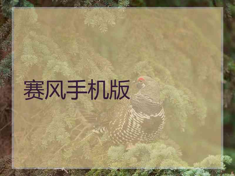 赛风手机版