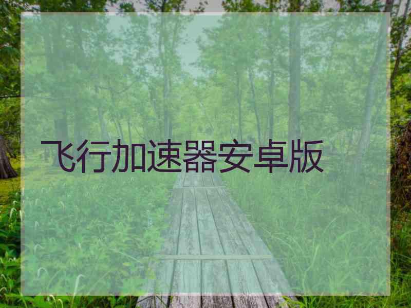 飞行加速器安卓版