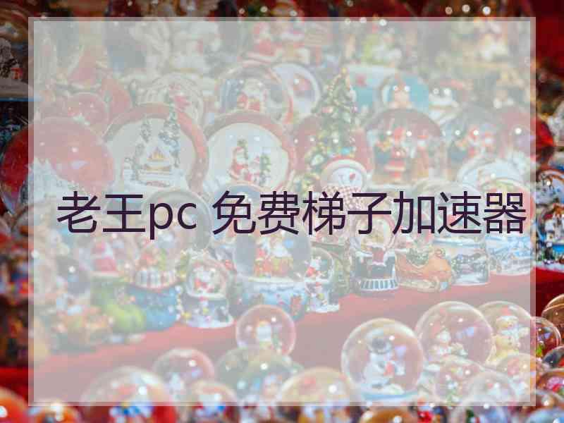 老王pc 免费梯子加速器