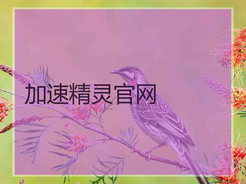 加速精灵官网
