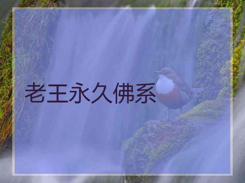 老王永久佛系