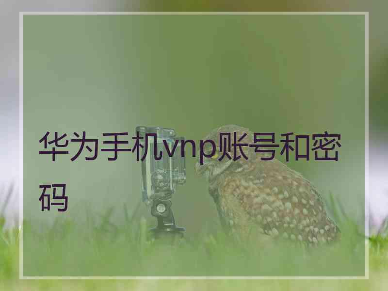 华为手机vnp账号和密码