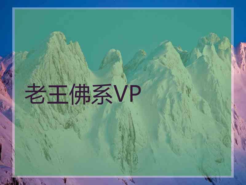 老王佛系VP