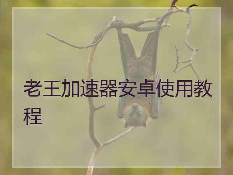 老王加速器安卓使用教程