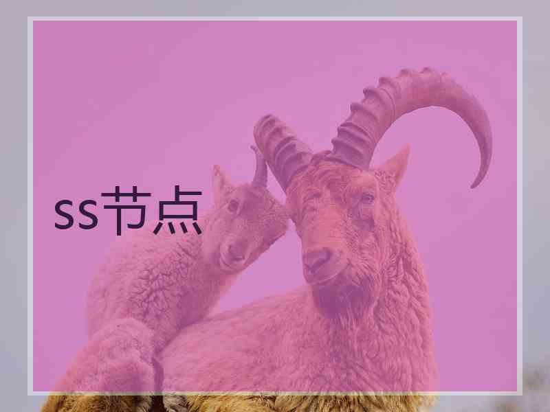 ss节点