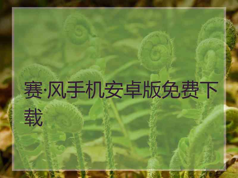 赛·风手机安卓版免费下载