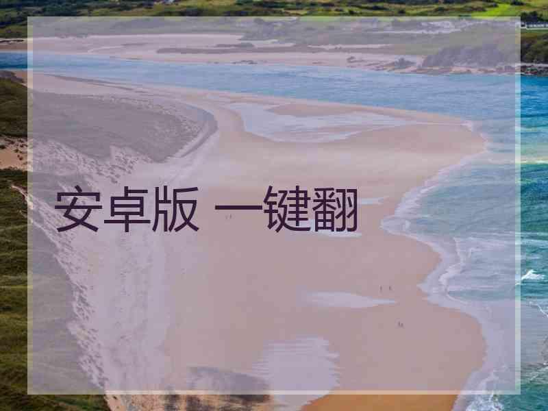 安卓版 一键翻