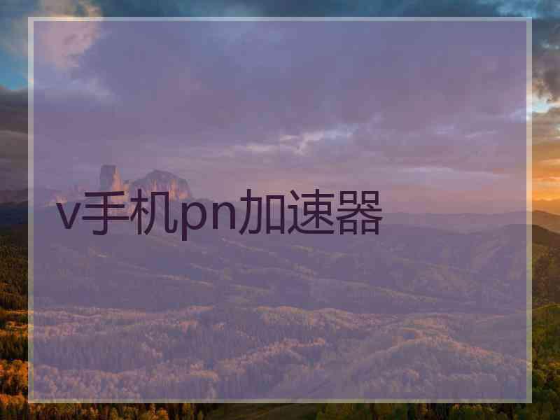 v手机pn加速器